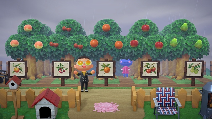 Showing off my orchard with signage