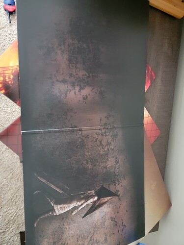 Silent Hill 2 Inner Sleeve