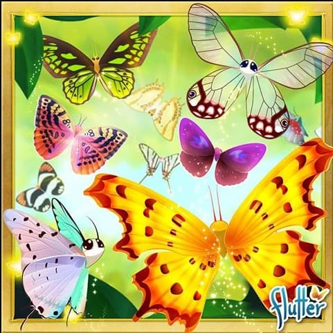 Flutter image