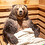 bearinzen