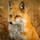 Foxears