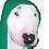 Gurgi14